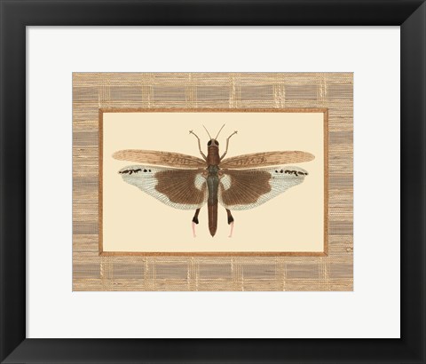 Framed Delicate Dancer IV Print