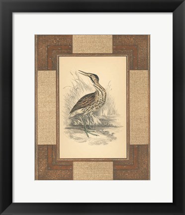 Framed Marshland Bittern Print