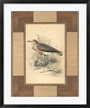 Framed Lowland Courier Print