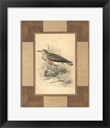 Framed Lowland Courier Print