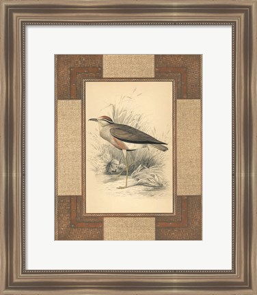 Framed Lowland Courier Print