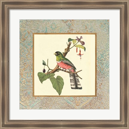 Framed Bel Air Songbirds II Print