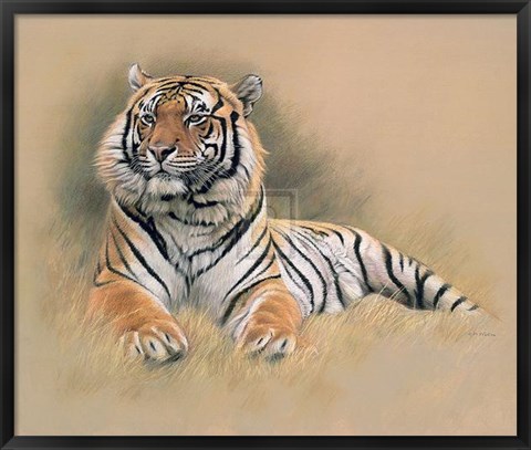 Framed Tiger [Ed 195] Print