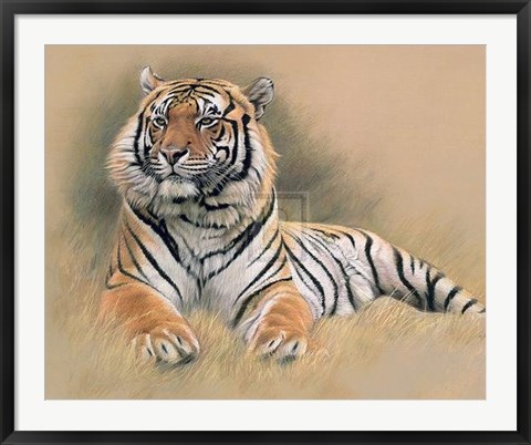 Framed Tiger [Ed 195] Print