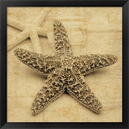 Framed Starfish Print