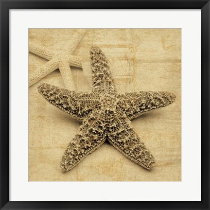 Framed Starfish Print