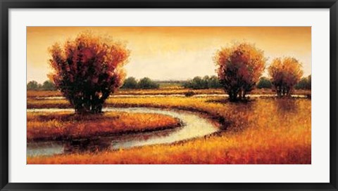 Framed Golden Reflections II Print