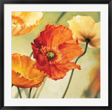 Framed Champs De Coquelicots II Print