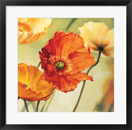 Framed Champs De Coquelicots II Print