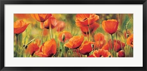 Framed Symphonie De Coquelicots Print