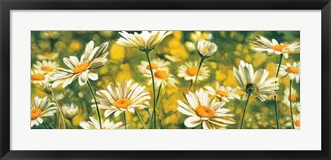 Framed Melodie De Marguerites Print