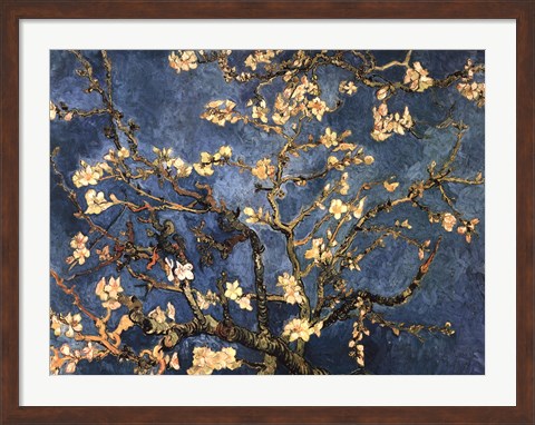 Framed Blossoming Almond Tree, Saint-Remy, c.1890 Print