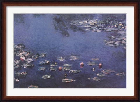 Framed Waterlillies Print