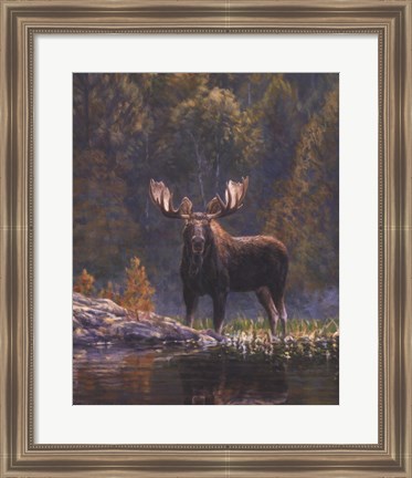 Framed North Country Moose detail Print