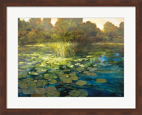 Framed Waterlilies Print