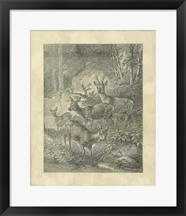 Framed Vintage Roe Deer I Print