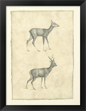 Framed Vintage Deer I Print