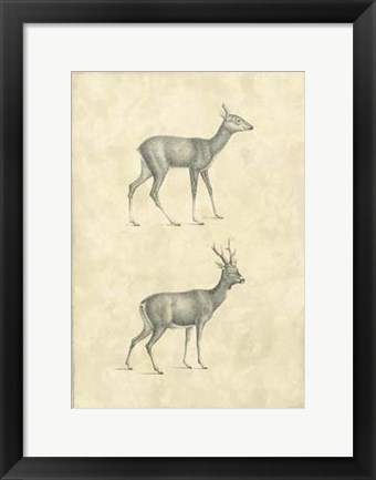 Framed Vintage Deer I Print