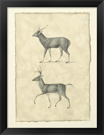 Framed Vintage Deer II Print