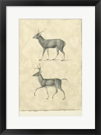 Framed Vintage Deer II Print