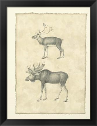 Framed Vintage Elk Print