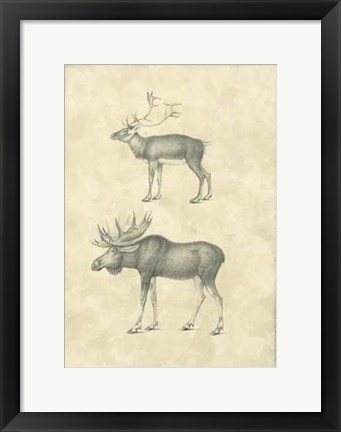 Framed Vintage Elk Print