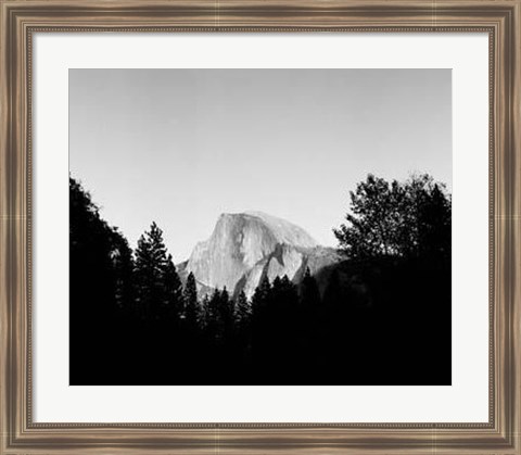 Framed Half Dome In Trees Print