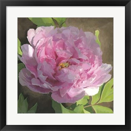 Framed Peony In Pink II Print