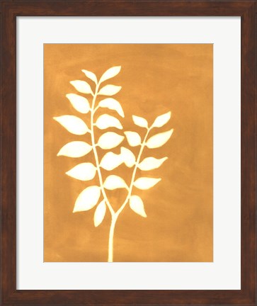 Framed Four Seasons Foliage I Print