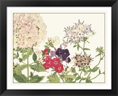 Framed Japanese Flower Garden II Print