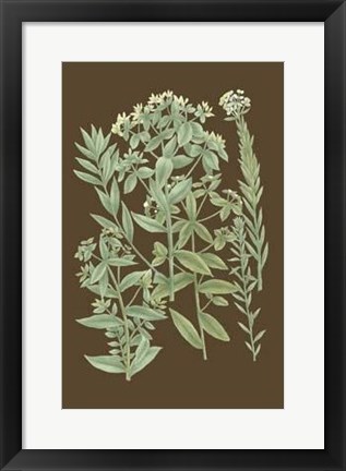 Framed Organic Greenery I Print