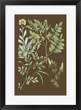 Framed Organic Greenery II Print