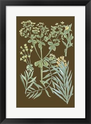 Framed Organic Greenery IV Print