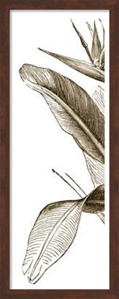 Framed Bird Of Paradise Triptych I Print