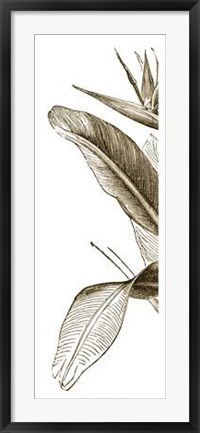 Framed Bird Of Paradise Triptych I Print