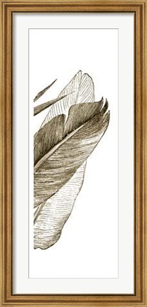 Framed Bird Of Paradise Triptych III Print