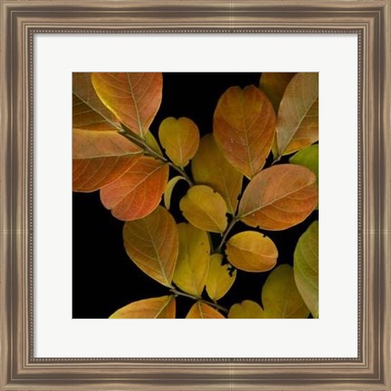 Framed Vivid Leaves I Print