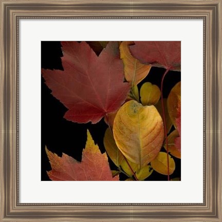 Framed Vivid Leaves IV Print