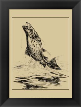 Framed Fisherman&#39;s Delight IV Print