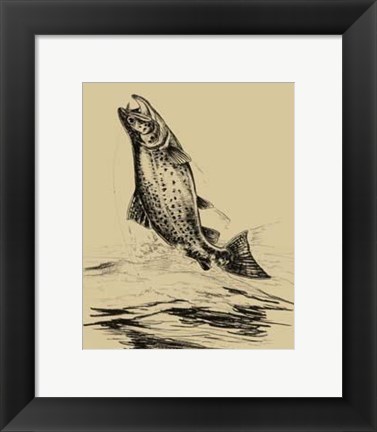 Framed Fisherman&#39;s Delight IV Print