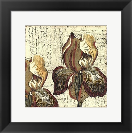 Framed Printed Vintage Composition III Print