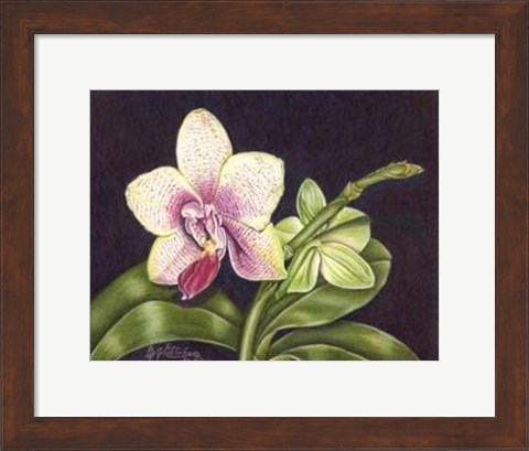 Framed Vibrant Orchid II Print