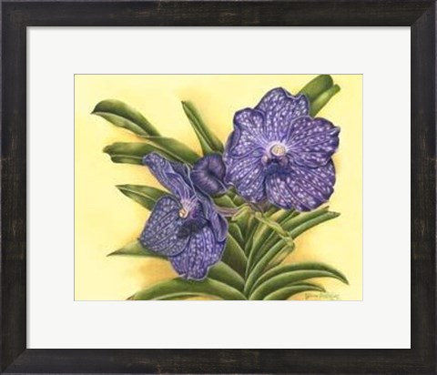 Framed Vibrant Orchid III Print