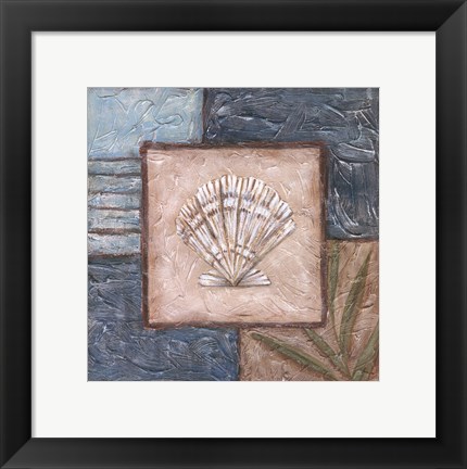 Framed Large Shell Montage II Print