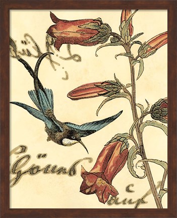 Framed Small Hummingbird Reverie I Print