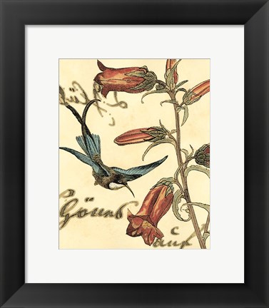 Framed Small Hummingbird Reverie I Print