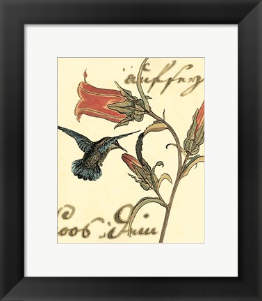 Framed Small Hummingbird Reverie III Print