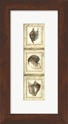 Framed Mini Rustic Shell Panel II Print