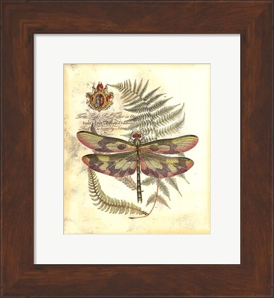 Framed Mini Regal Dragonfly IV Print