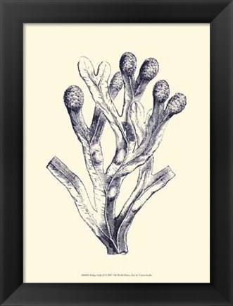 Framed Indigo Kelp II Print